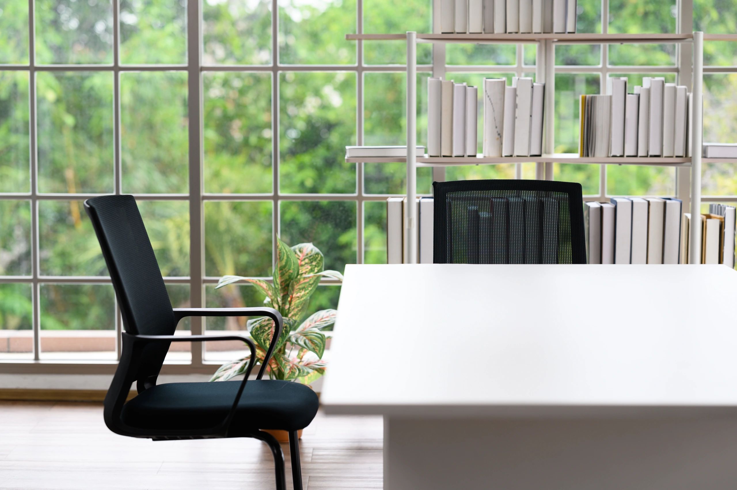 Warm editorial writing desk with natural light and books